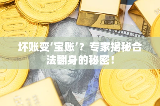 武汉坏账变‘宝账’？专家揭秘合法翻身的秘密！