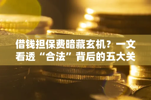 武汉借钱担保费暗藏玄机？一文看透“合法”背后的五大关键陷阱