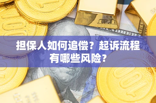 武汉担保人如何追偿？起诉流程有哪些风险？