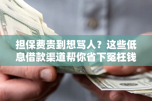 武汉担保费贵到想骂人？这些低息借款渠道帮你省下冤枉钱