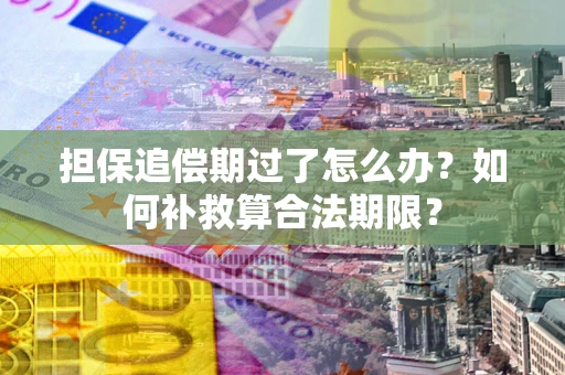 武汉担保追偿期过了怎么办？如何补救算合法期限？