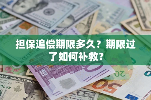 武汉担保追偿期限多久？期限过了如何补救？