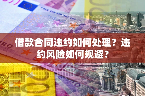 武汉借款合同违约如何处理？违约风险如何规避？