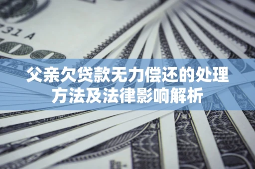 武汉父亲欠贷款无力偿还的处理方法及法律影响解析